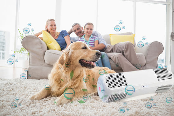 Desinfectante de aire ABS con moho privado mata virus de la gripe H1N1 bacterias hongos OEM/ODM