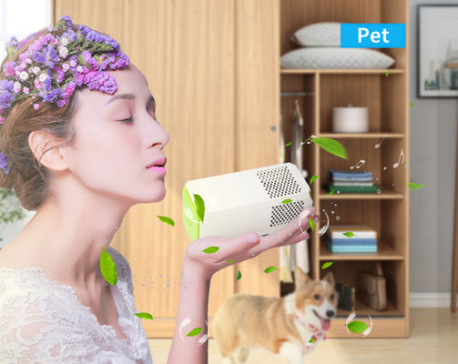 Purificador de aire de baño de cocina de habitación pequeña perfecto para eliminar los alérgenos, el polen y los olores.