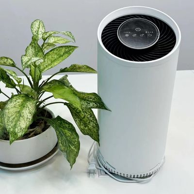 Purificador de aire de plasma frío HEPA con filtro de carbono activado de 36 W de potencia máxima de 220 V de voltaje
