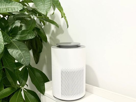 HC10 Compacto Purificador de aire industrial con filtro HEPA y temporizador de 4 horas para eliminar olores