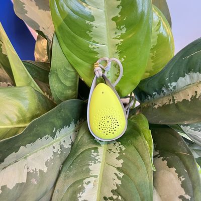 VDETTE NC01 Purificador de aire portátil para niños Desinfección de plaguicidas y purificación de aire segura y efectiva
